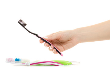 Female hands with toothbrushes for the whole family