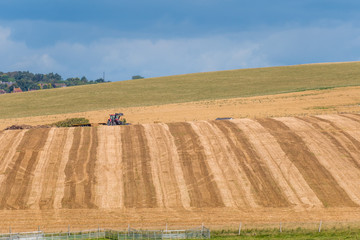Striped golden harvested field on South Downs National Park