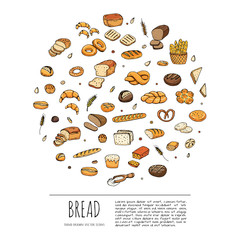Hand drawn doodle set of cartoon food: rye bread, ciabatta, whole grain bread, bagel, sliced bread, french baguette, croissant Bread set Vector illustration Sketchy bread elements collection 