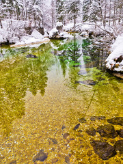 Obraz na płótnie Canvas Winter reflections in a cold mountain stream, river Sava near lake Bohinj, Slovenian Alps, Slovenia