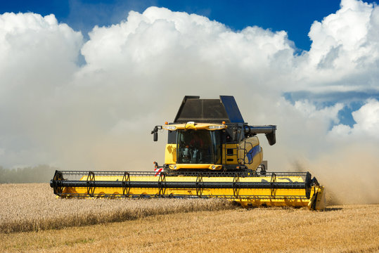 combine harvester at the grain harvest - 9853
