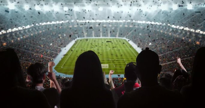 Fans cheer at the stadium