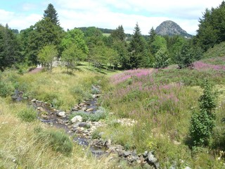Mont gerbier de Jonc, Source de la Loire, France