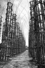 Lodi (Lombardy, Italy): the vegetal cathedral