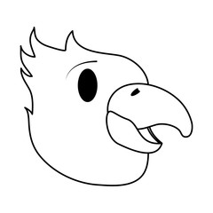 tropical bird icon image vector illustration design