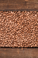 Pinto bean for background 