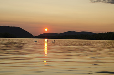 peaceful summer sunset by Danube