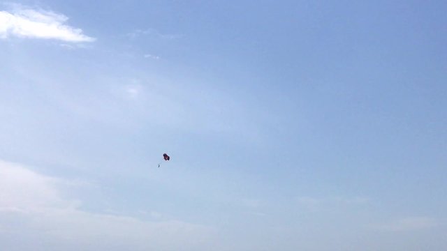  skydiver flies against the sky, summer day
