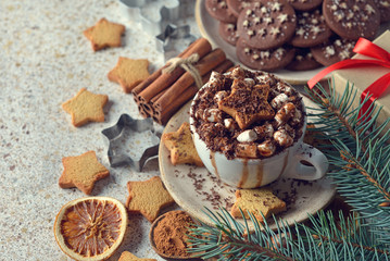 Fototapeta na wymiar Christmas hot chocolate with marshmallow