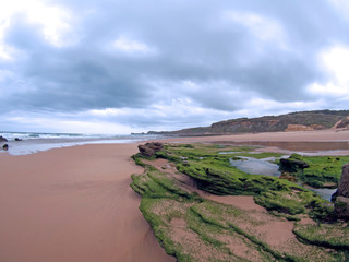 View of a beach a cloudy day with rocks covered in green algae