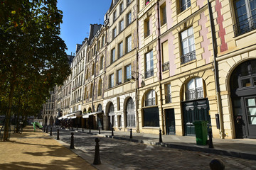 Fototapeta na wymiar Place Dauphine en été à Paris, France