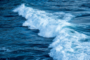 Ocean shore