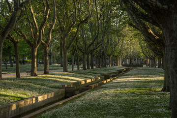 Fototapeta na wymiar Park in Zaragoza Spain