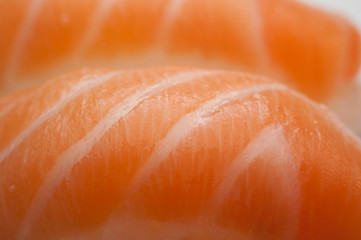 Sushi on white background