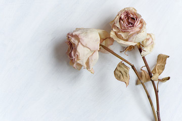 Dried faded roses on old paper on wooden background