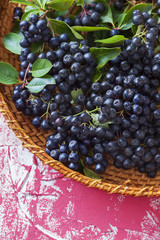 chokeberry liqueur