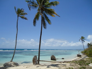 Caribbean beach