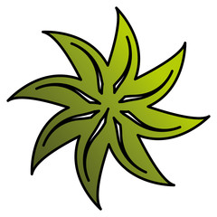 leaf plant ecology icon vector illustration design