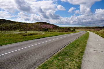 Texel road