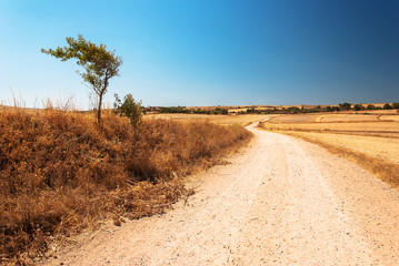 Southern Sardinia desert road