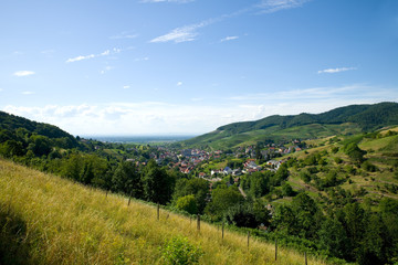 Fototapeta na wymiar Bühlertal - Nordschwarzwald 