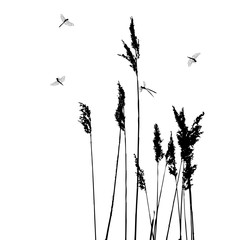 Dragonflies in flight - vector illustration - 169097005