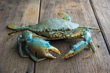 Crab meat in various gestures.