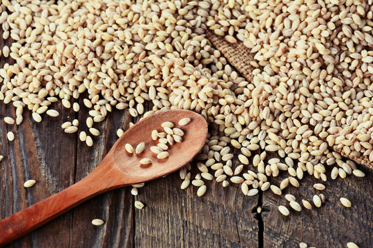 Pearl barley grain seed on wooden background