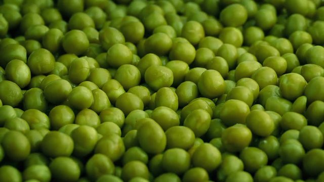 Bowl Of Green Peas Rotating
