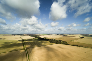 Agricultural fieds in latvian countryside.