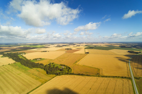Agricultural fieds in latvian countryside.