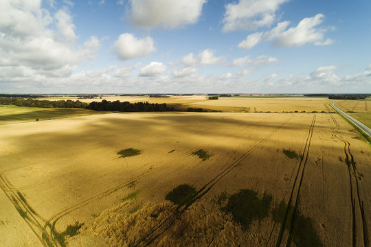Agricultural fieds in latvian countryside.