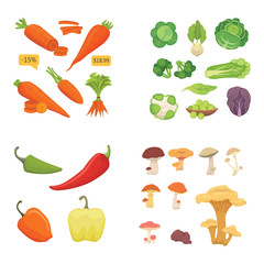 Farming production, vegetables icons set. Healthy food