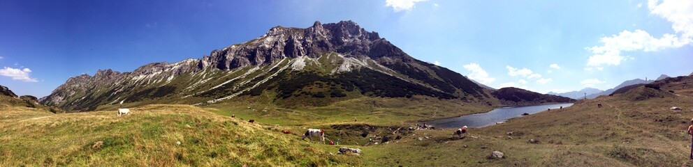 Panorama of the Alps