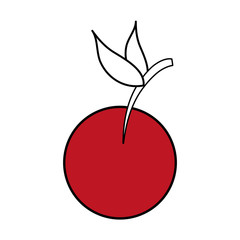 Refreshing vegetable tomato icon vector illustration design graphic silhouette