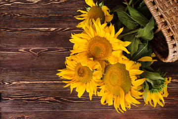 Sunflowers on wooden background. Autumn background