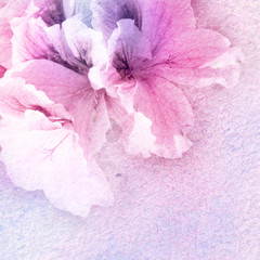 watercolor and flowers abstract background © Kseniia Veledynska