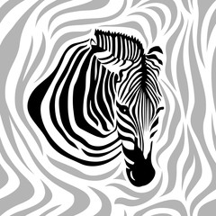 Zebra head seamless pattern. Black, gray and white strips, vector illustration isolated on white background. Animal skin print texture.
