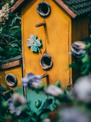 bird house behind flowers
