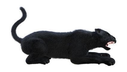 3D Rendering Black Panther on White