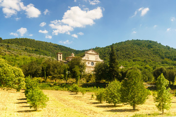 Fototapeta na wymiar An old villa and typical Tuskany trees around, Italy.