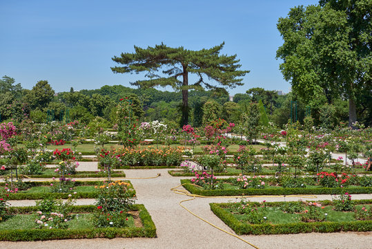 Parc de Bagatelle, Paris France