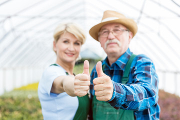 Professional gardeners showing thumbs up in a greenhouse.