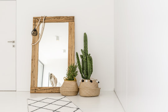 Enormous Mirror In The Room