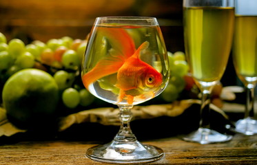 A fish in a glass against a background of grapes of wine glasses.