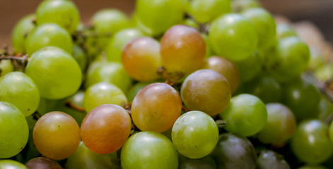Grapes. Cose-up.