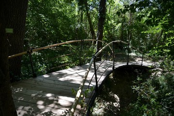 petit pont