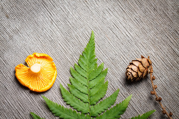 Background of Chanterelle (yellow mushroom) and fern leaf with copy space.