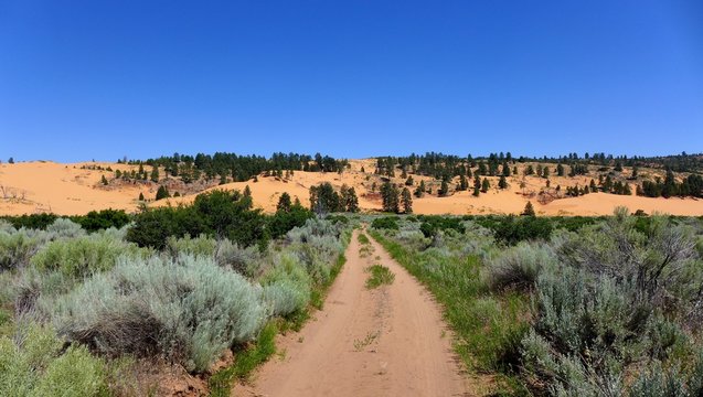Weg durch eine Wüstenlandschaft in Utah