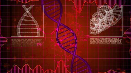 X-ray scanning of DNA strands with a red background. Abstract science monitor screens. - Powered by Adobe